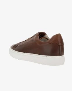 DOUCAL''S SNEAKER (GM) BOSTON -Κατάστημα Geox 3620ADOUC6070002 DarkBrown 3