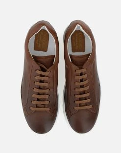 DOUCAL''S SNEAKER (GM) BOSTON -Κατάστημα Geox 3620ADOUC6070002 DarkBrown 4