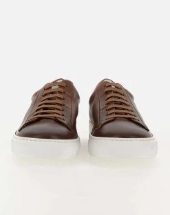 DOUCAL''S SNEAKER (GM) BOSTON -Κατάστημα Geox 3620ADOUC6070002 DarkBrown 5